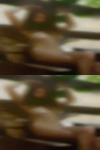 Chambersburg, swingers group