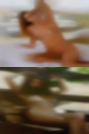 Cruise swingers fuck